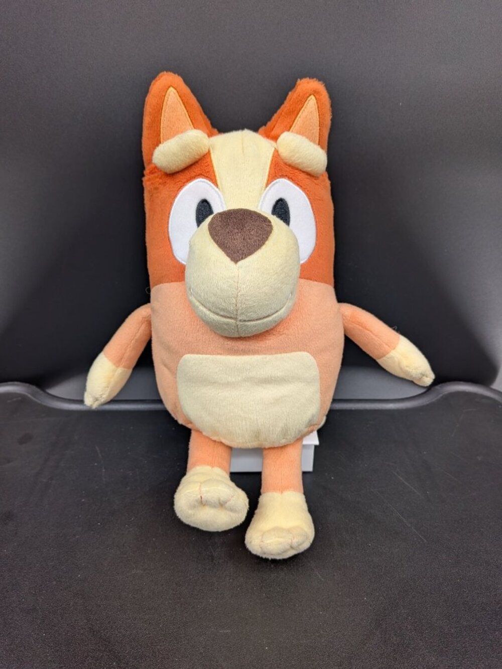 Disney Jr Bluey Bingo Talking Plush Sound Effects Interactive Stuffed Animal 11"
